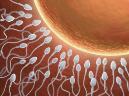 С нетерпением ждем)))