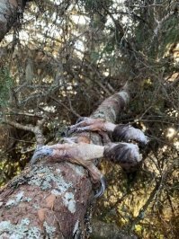 Очень большая скорость при заходе на посадку, шасси не выдержало, оторвало.