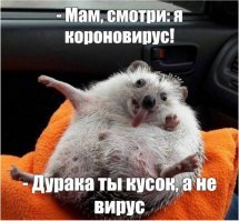 Смешные картинки и не очень