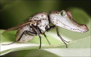 Скоро начнется.