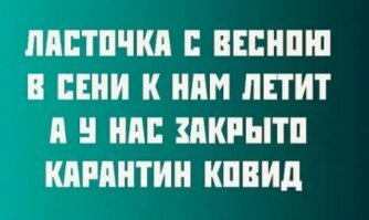 Прикольные и смешные картинки