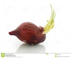 15 историй о детях-актерах, которые выросли и исчезли с экранов