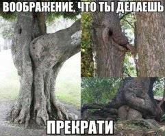 Смешные картинки и не очень