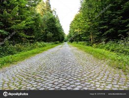 Вот интересно, автор и плюсующие комментаторы искренне верят что за всё время на дороге без ремонта, через швы ни одна травинка не выросла?
А самое прикольное, что если закинуть картинку в поисковик, то дорога дата строительства дороги у каждого автора своя. Наш ещё поскромничал "до второй мировой", а так и 19-й век, и 200 лет и т.д.