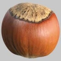 Ща он его выест