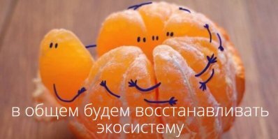 Как куча апельсиновых корок поменяла экосистему в Центральной Америке