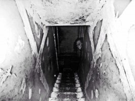 Круто, а то я уже ждал что-то вроде: