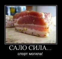 8 фактов о сале, узнав которые мы перестали корить себя за любовь к нему