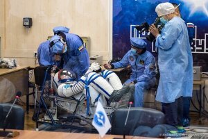 к слову, по поводу раздувания и "кавалеристских ног"... Сокол тоже раздувается.