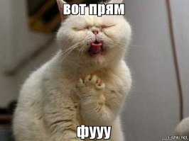 10 лучших комедий Джима Керри