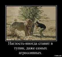 Прикольные и смешные картинки