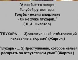 Пакистанский голубь отсидел в индийской тюрьме три года за шпионаж