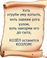 Ч.Т.Д. (quod erat demonstrandum)!!!  
Вот и слетел весь пафос...
 1. Рассуждать о "бесноватом быдле", используя в своем лексиконе "раскуярить", "ехай накуй" и "питерец мля", может, конечно, только "высокоинтеллектуальная личность"...    
2. Тот факт, что эта "личность", вполне сносно владеет падежами и оборотами русской речи, говорит исключительно за то, что это прям "совсем канадец"...
3. Тяга к халяве (в размере двух тысяч канадских долларов!), дает основание отнести эту "личность" к определенной этнической группе, которая.... 
Хотя..... о чем это я.... "Козла причесывать, только время зря терять, все равно козлом останется..."