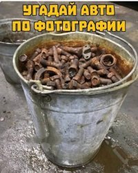 Прикольные и смешные картинки