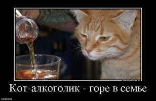 Прикольные и смешные картинки