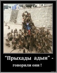 Охранник московского магазина устроил драку с посетителями