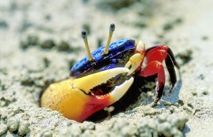 Чемпион армрестлинга побеждает силачей вдвое больше себя