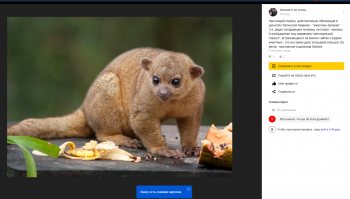 Угу. Обалдеть просто. Сколько глазоухов в это верят. И перепощивают.