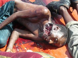 А кто сказал что не стреляли ?  И это не единственный жмур того сезона ...
Фото из личной коллекции , многое не могу показать из этичецьких соображений ...