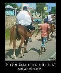 Упитанные мотоциклисты устроили веселую гонку