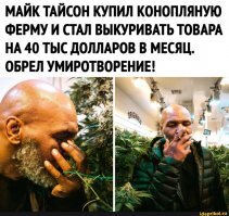 А говорят, что конопля плохо влияет на здоровье. Судя по фото - врут.