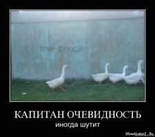 не лебеди это получились