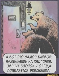 Прибитая к стене табличка привлекла внимание аллигатора