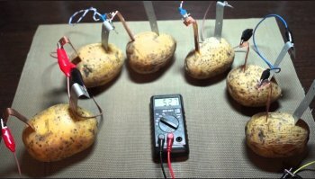 Прикольные и смешные картинки