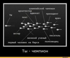 Смешные картинки