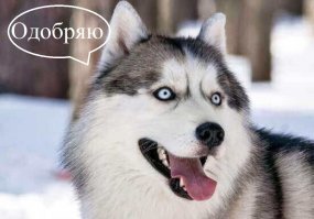 Парикмахер учит клиенток гордиться сединой