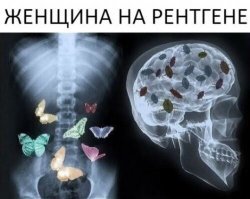Смешные картинки
