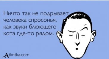 Прикольные и смешные картинки