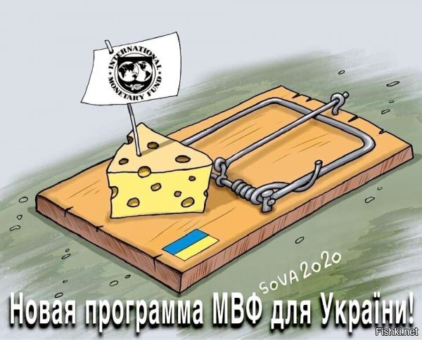 а чо на фотке так много сыра и он еще не испорченный?! в реальности ж, как бы все плохо...а тут аж на раз мышке покушать, перед смертью :)