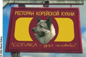 Прикольные и смешные картинки