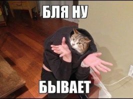 Прикольные и смешные картинки