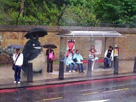 Котобус ждут))