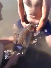 Смешные картинки и не очень