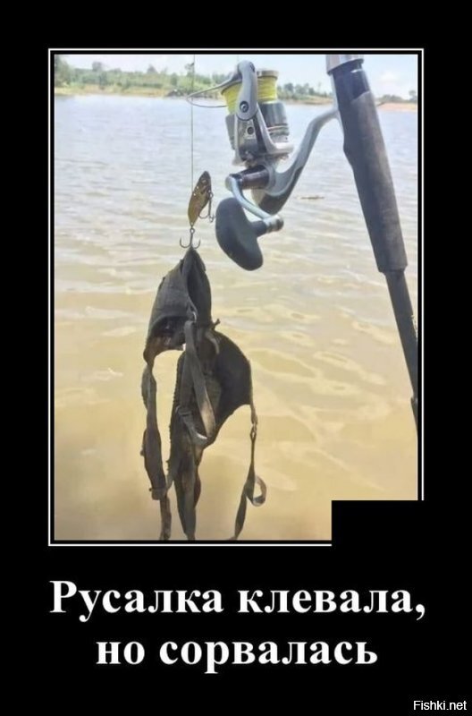Демотиватор дня