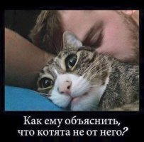 Американец узаконил отношения с кошкой, которая 5 лет поддерживала его, спасая от депрессии