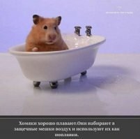 ога, так и есть