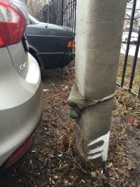 Туда нужно пищащий собачий мячик засунуть, а не теннисный, тогда со  звуком будет!)