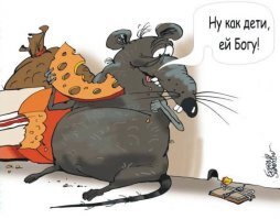 Хорошо мыши вна украине живут.