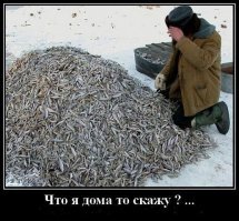 Смешные картинки и не очень