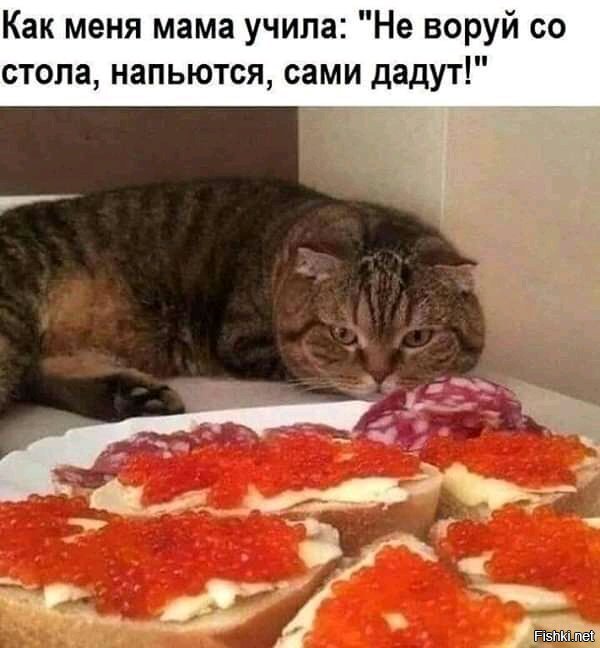 соскучились