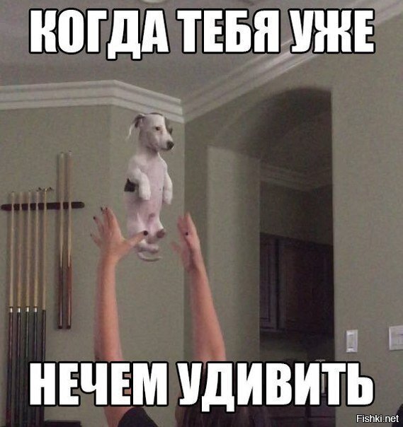 Солянка от 05.06.2020