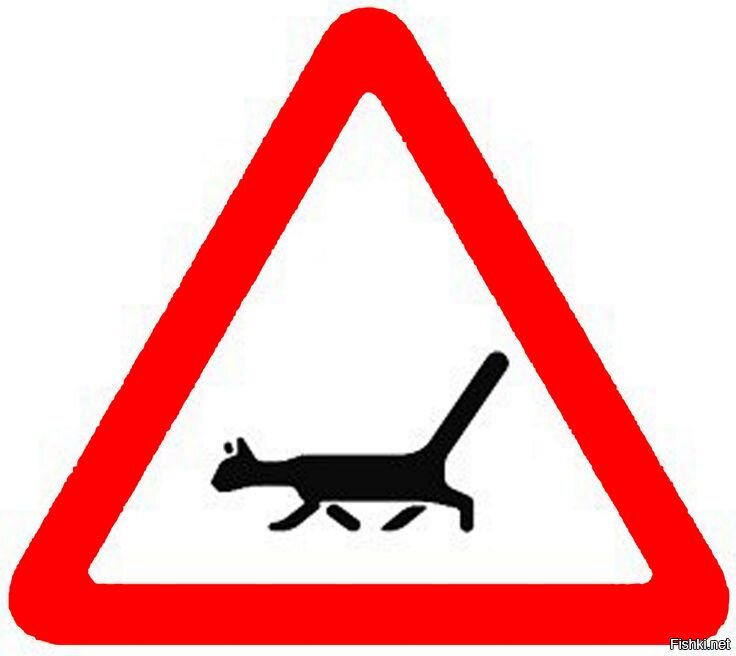 Солянка от 05.06.2020