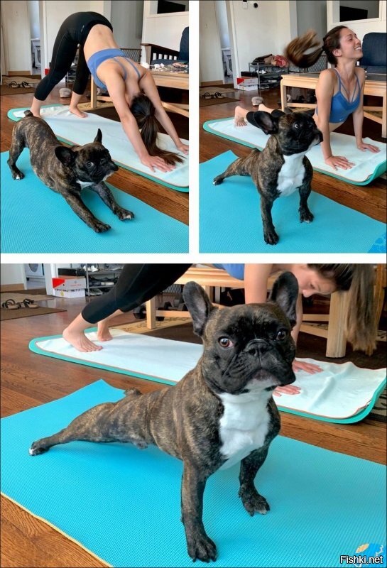 Солянка от 05.06.2020