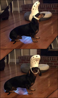 Смешные картинки и не очень