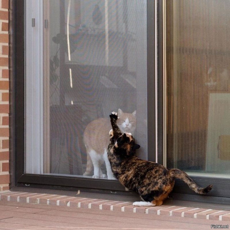 Солянка от 05.06.2020