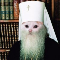 Смешные картинки и не очень